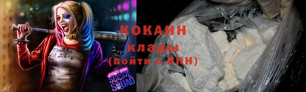 винт Каменка