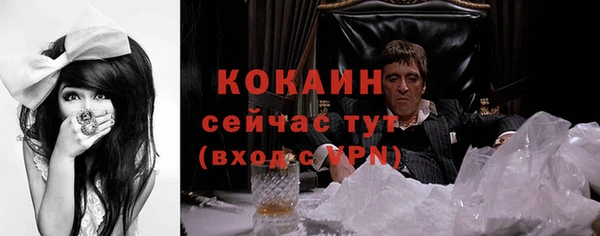винт Каменка