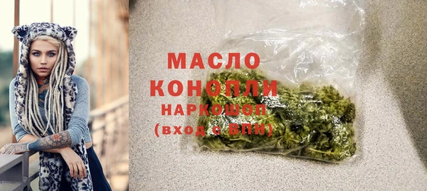 винт Каменка