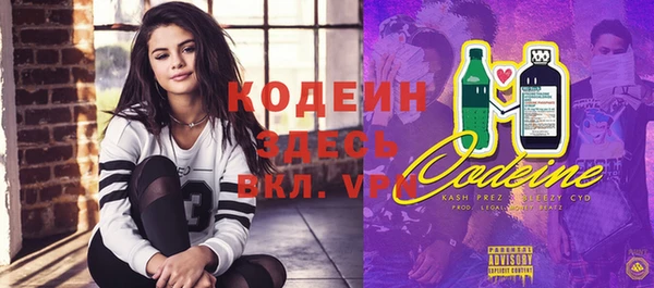 винт Каменка