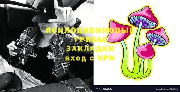 винт Каменка