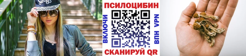 Купить закладки Дедовск Псилоцибиновые грибы MAGIC MUSHROOMS